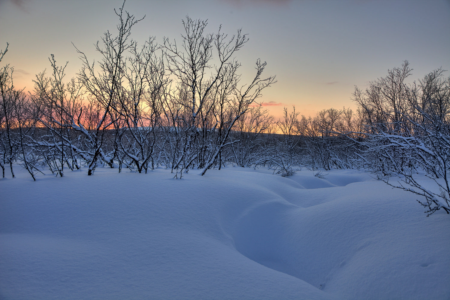 bilder av landskap med snø og treer i vinteren i Vadsø